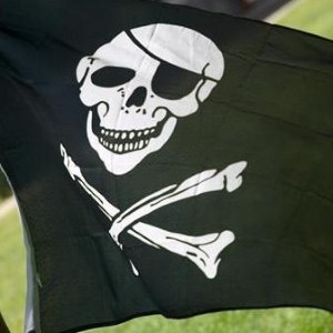 Pirates can be stopped by cutting off their resources, says Google.