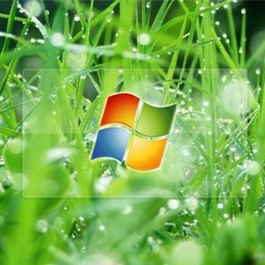 Upgrading your Windows software can help protect you from viruses.