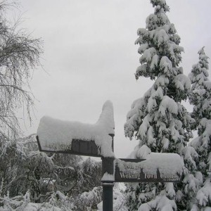 Winter's coming, so make sure you - and your computer - are kept warm. Winter's coming, so make sure you - and your computer - are kept warm.